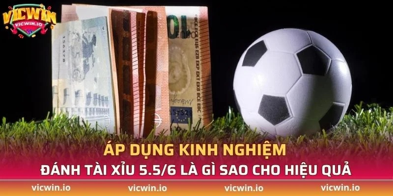 Áp dụng kinh nghiệm đánh tài xỉu 5.5/6 sao cho hiệu quả