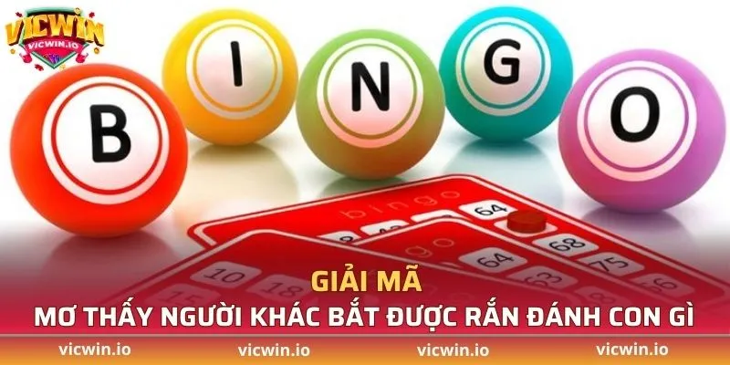 Giải mã mơ thấy người khác bắt được rắn đánh con gì?